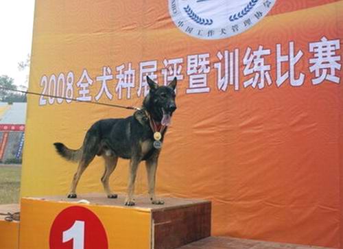 辉丹