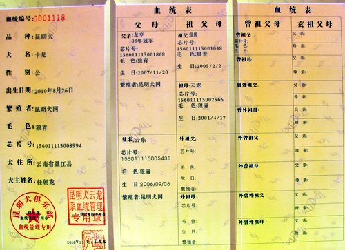 卡龙