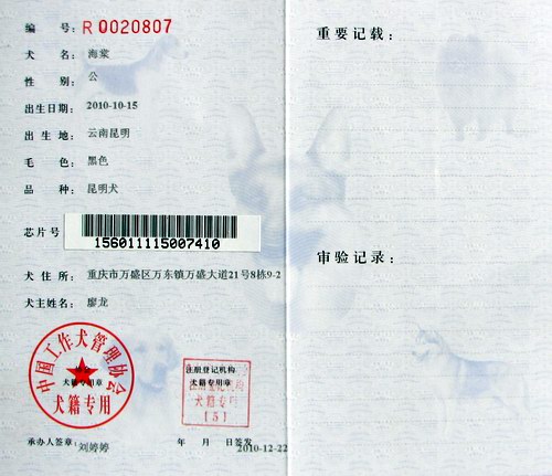 海棠