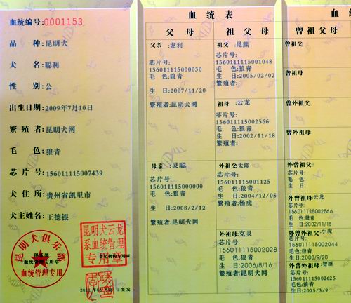 聪利