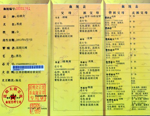 黑虎