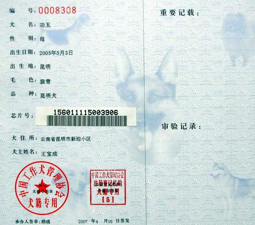 功玉